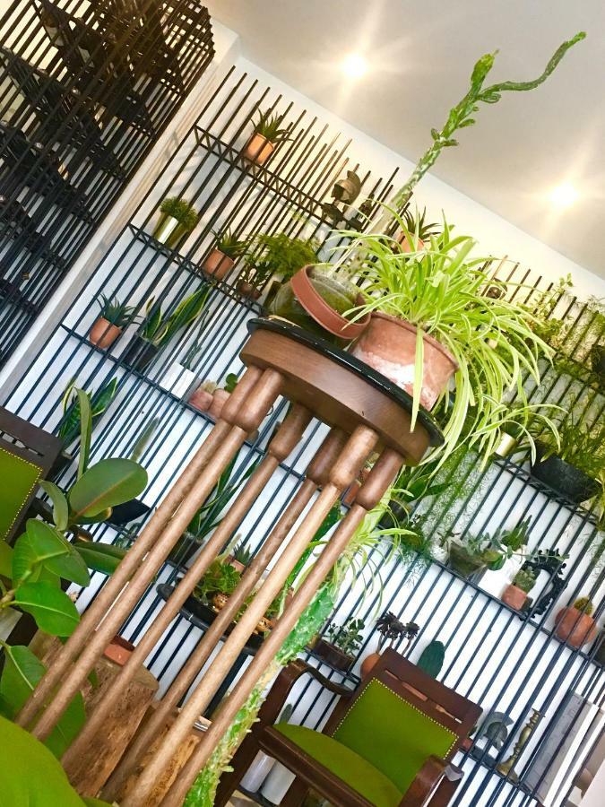 Sato Design Hotel (Adults Only) Çeşme エクステリア 写真